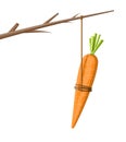 Carrot on a stick Royalty Free Stock Photo