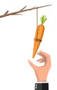 Carrot on a stick in hand. Royalty Free Stock Photo