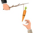 Carrot on a stick in hand. Royalty Free Stock Photo