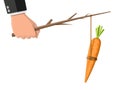 Carrot on a stick in hand. Royalty Free Stock Photo