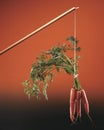 Carrot and stick - a metaphor for a method of persuasion