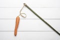 The carrot and the stick Royalty Free Stock Photo