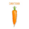 Carrot sticker made in cartoon flat style. Label for markets