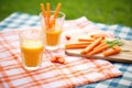 carrot sticks and juice glass on a picnic blanket Royalty Free Stock Photo