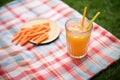carrot sticks and juice glass on a picnic blanket Royalty Free Stock Photo