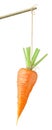 Carrot on a string Royalty Free Stock Photo