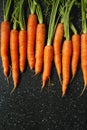 Carrot with tops in row Royalty Free Stock Photo