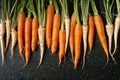 Carrot with tops in row Royalty Free Stock Photo