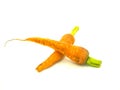 Carrot Royalty Free Stock Photo