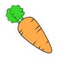 Carrot