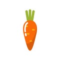 Carrot vector icon