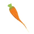 Carrot. Vector illustration.