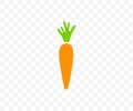 Carrot, vegetable, agriculture, food and meal, graphic design