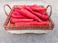 Carrot Vegetable. Fresh and Large Red Carrots in the Basket Royalty Free Stock Photo