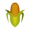 Carrot vegetable icon