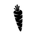 Carrot vegetable icon