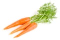 Carrot vegetable with leaves isolated on white background Royalty Free Stock Photo