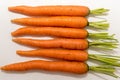 Carrot vegetable with leaves isolated on white background Royalty Free Stock Photo