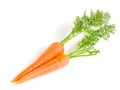 Carrot vegetable with leaves isolated on white background Royalty Free Stock Photo