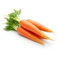 Carrot vegetable with leaves isolated on white background Royalty Free Stock Photo