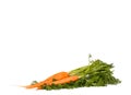 Carrot vegetable with leaves isolated on white background cutout Royalty Free Stock Photo