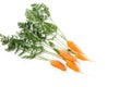 Carrot vegetable with leaves isolated on white background cutout Royalty Free Stock Photo