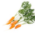 Carrot vegetable with leaves isolated on white background cutout Royalty Free Stock Photo