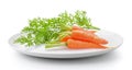 Carrot vegetable with leaves in plate isolated on a white background Royalty Free Stock Photo