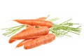 Carrot vegetable on white