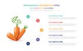 Carrot vegetables infographic template with 5 colorfull bullet number description