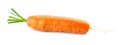 Carrot on white background. Fresh ripe vegetables Royalty Free Stock Photo