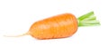 Carrot on white background. Fresh ripe vegetables Royalty Free Stock Photo