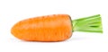 Carrot on white background. Fresh ripe vegetables Royalty Free Stock Photo