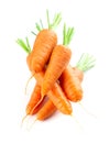 Carrot on white. Fresh ripe vegetables Royalty Free Stock Photo