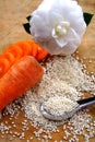 Carrot and white rice Royalty Free Stock Photo