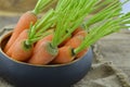Carrot in wicker bowl on sacking on wooden