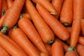 Carrots Royalty Free Stock Photo