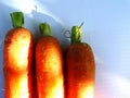 carrots