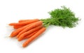 Carrots Royalty Free Stock Photo