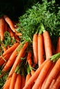 Carrots