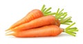 Isolated carrots Royalty Free Stock Photo