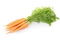 Carrots