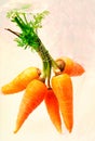 Carrots