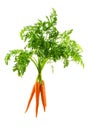 Carrots