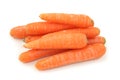 Carrots Royalty Free Stock Photo