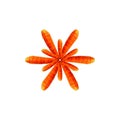 Abstract flower made of carrots