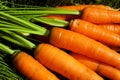 Carrots