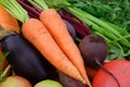 Carrots, beets, zucchini, eggplant, tomato, ripe fresh vegetables