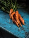 Carrots bunch freshness harvest carotene antioxidant vitamin for recipes
