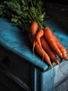 Carrots bunch freshness harvest carotene antioxidant vitamin for recipes